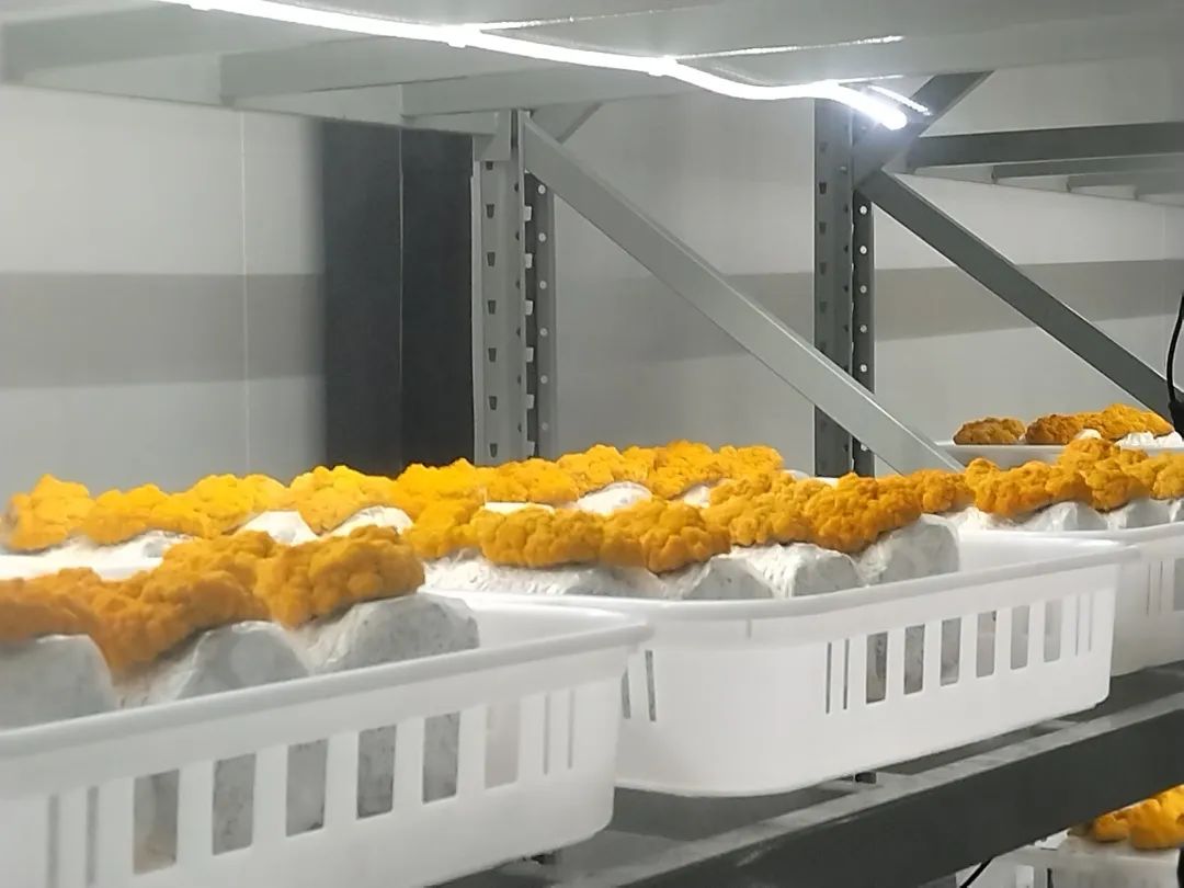 20230612091136_3351.jpg 20230612091136_3351.jpg