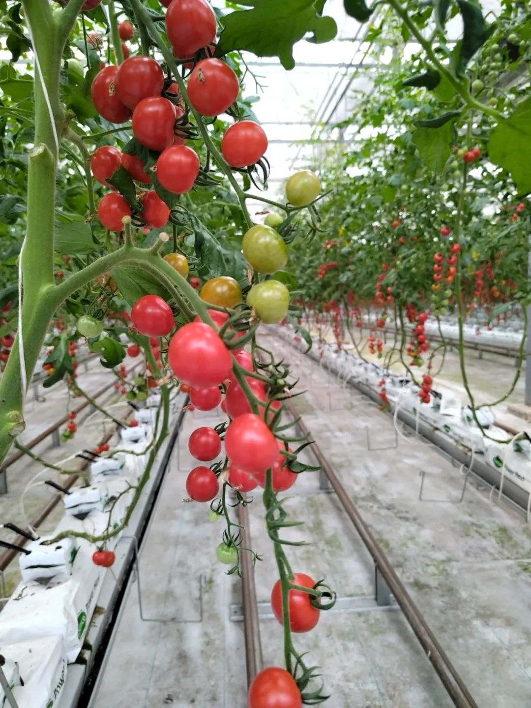 20230612091401_3720.jpg 20230612091401_3720.jpg