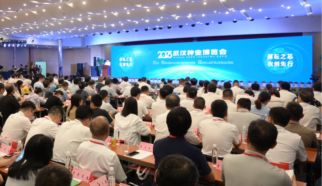 20230612090935_4819.jpg 20230612090935_4819.jpg