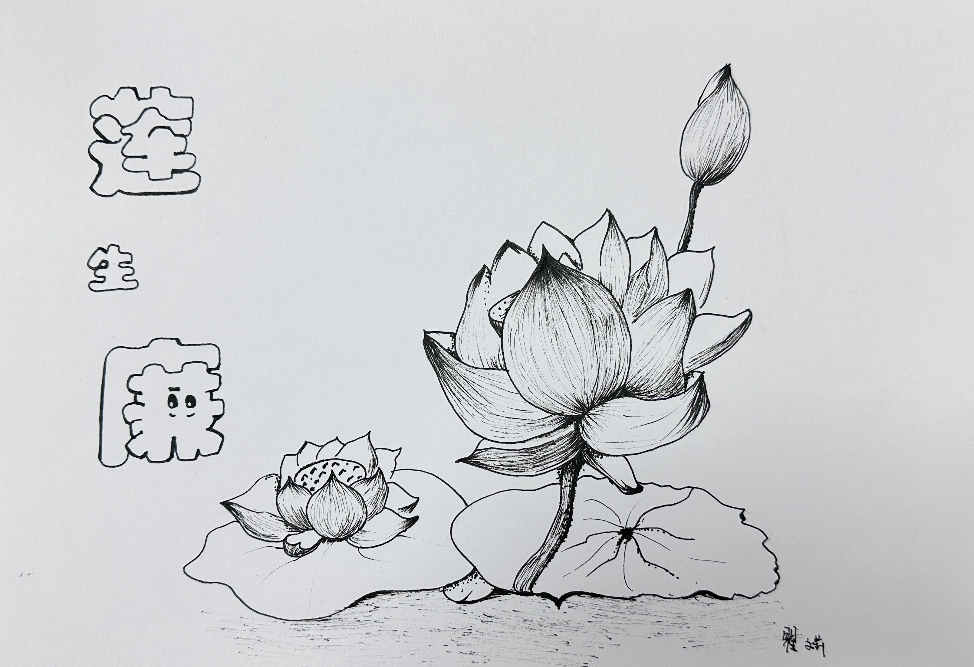 17繪畫類(白描畫)《蓮生廉》.jpg 17繪畫類(白描畫)《蓮生廉》.jpg